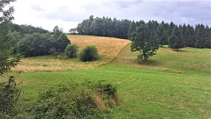 Pozemok v katastrálnom území obce Horné Hámre o rozlohe 1784 m 2, okres Žarnovica