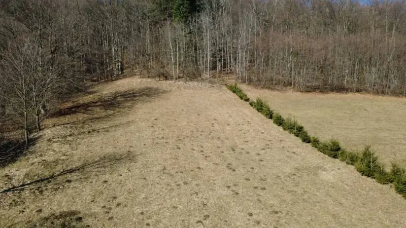 Pozemok v katastrálnom území obce Kľak, o výmere 2002 m², okres Žarnovica – foto 6