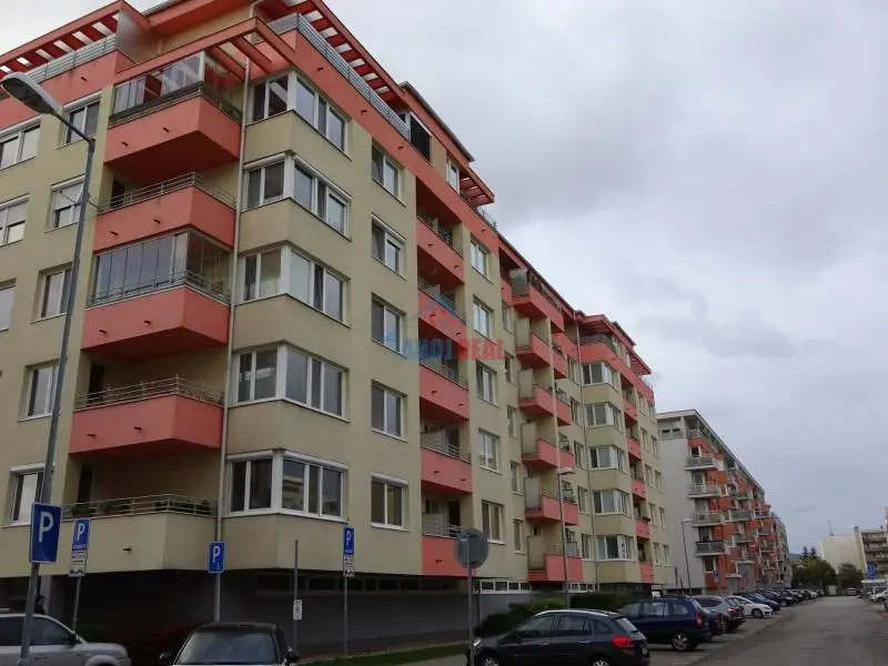 Ružinov novostavba 2-izb byt, garáž, môže aj psík, Mačka – foto 13