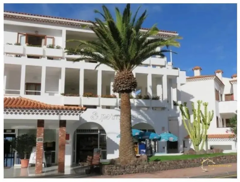 Apartmán na Tenerife – Každoročný pobyt v 43. Týždni – foto 4