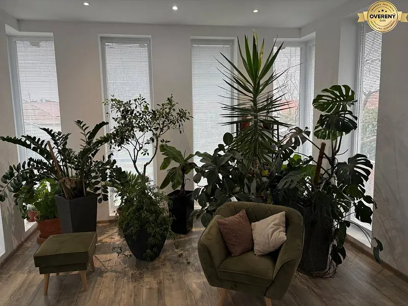 Veľký luxusný deväť izbový rodinný dom s veľkým pozemkom v Preseľanoch – foto 6