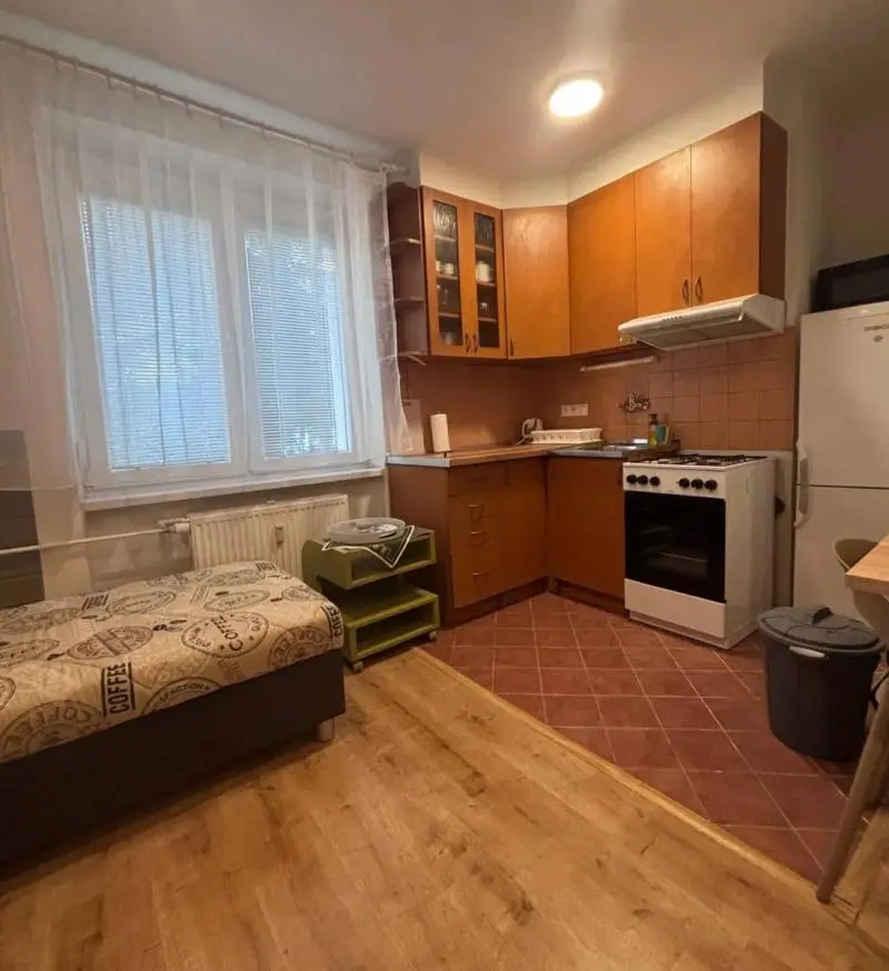 Štýlová garsónka po kompletnej rekonštrukcii – Haburská – foto 4