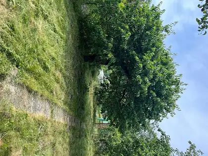 Záhrada