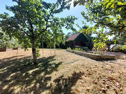 Súkromný relax pri Veľkom jazere – 338 M² v Rovinke, pláž vzdialená len 85 m