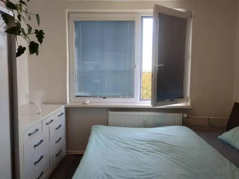 Predaj – foto 4
