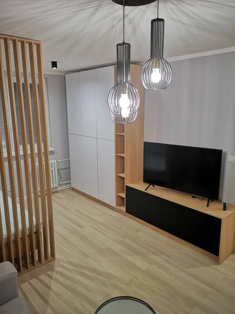 Prenajom 1 izboveho bytu – foto 11