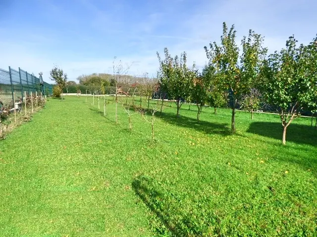 Nadštandardný RD v okrese Topoľčany (18 km). – foto 2