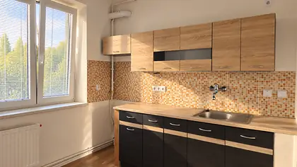 Slunný byt 3+1 po kompletní rekonstrukci – Libina, 56,46 m²