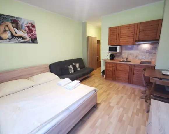 Priestranný 1-izbový Apartmán s balkónom – foto 4