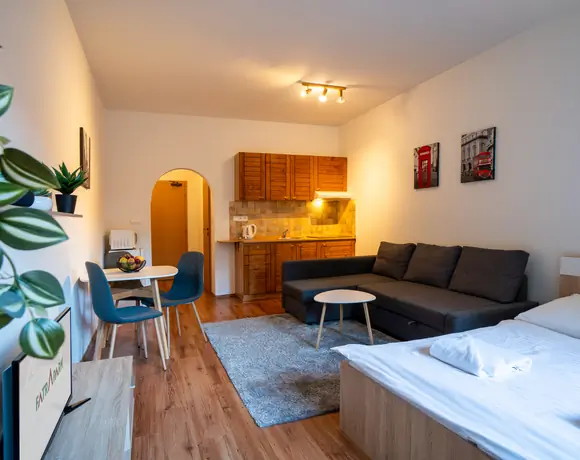 Pekný apartmán s 1 miestnosťou – foto 2